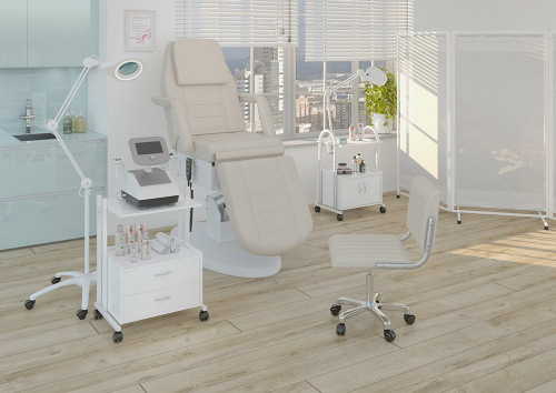 Кушетка косметологическая Элегия-01 фото